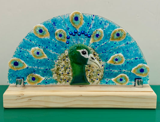 1/15, Majestic Peacock Class